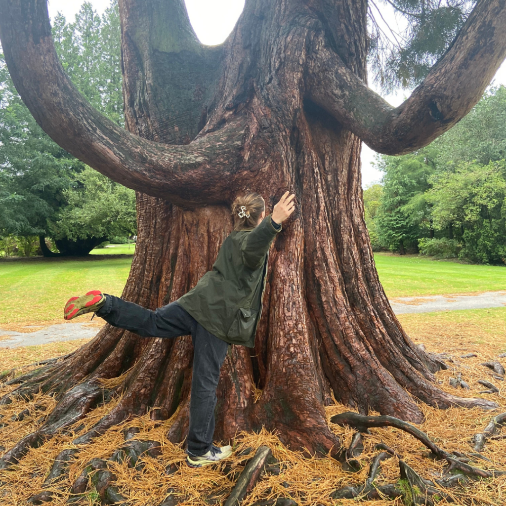 A large tree in a park with swooping branches. In front of the tree stands CROWD residency artist Hubert, wearing a dark green jacket, navy trousers, and sporty trainers. They are facing towards the tree, one arm and one leg lifted and softly bent, mirroring the tree's branches.